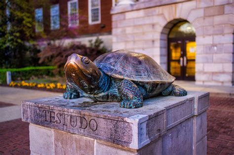 Testudo Statue | Spiral View Photo