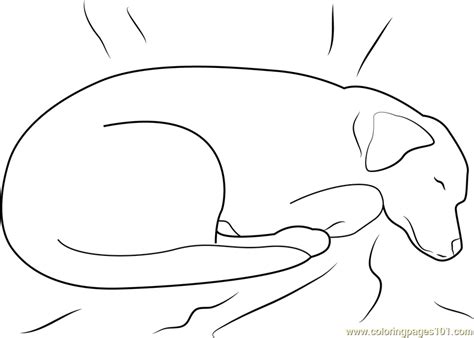 Dog Sleeping On Bed Coloring Page For Kids Free Dog Printable