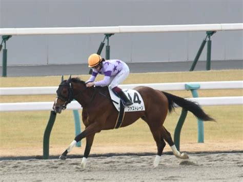 【京都4r新馬戦結果】リアルスティール産駒のファストレーンがデビューv！ 競馬ニュース