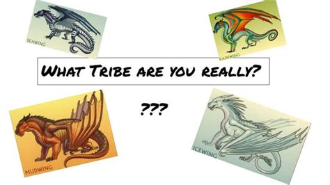 What Wings Of Fire Tribe Are You Both Continents Quiz Quotev