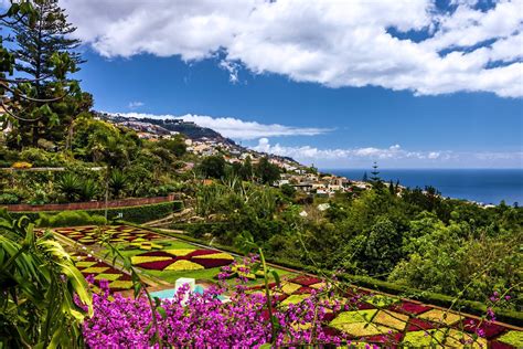 All Inclusive Madeira Tui