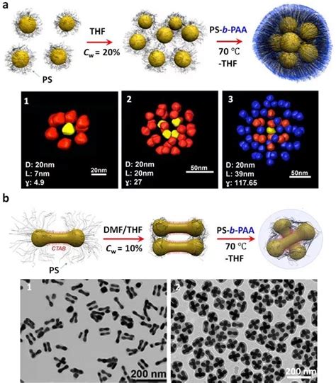 复旦大学聂志鸿教授和康涅狄格大学何杰教授chem Soc Rev ：聚合物引导的无机纳米粒子组装 表面