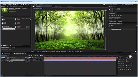 Tutoriels After Effects En Fran Ais Fum E Trapcode Particular Youtube