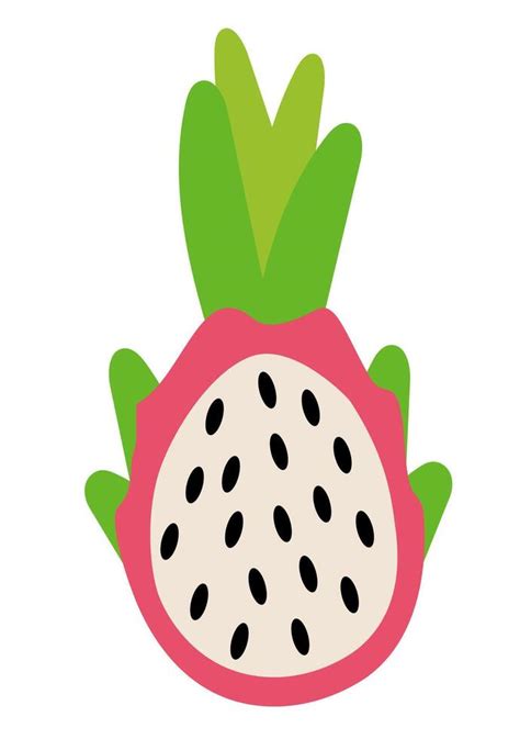 Pitahaya Dragonfruit Vector Art Icons And Graphics For Free Download