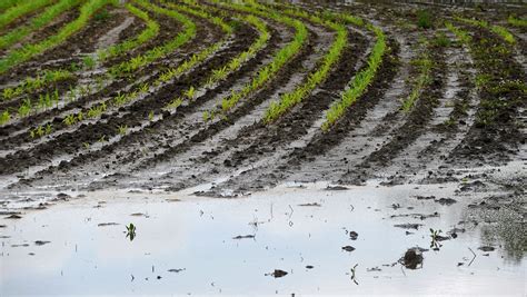 Rain Dampens Productivity In Fond Du Lac Farm Fields