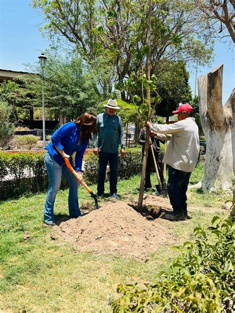 Arrancan Campa A De Reforestaci N En Unidad Deportiva De Torre N