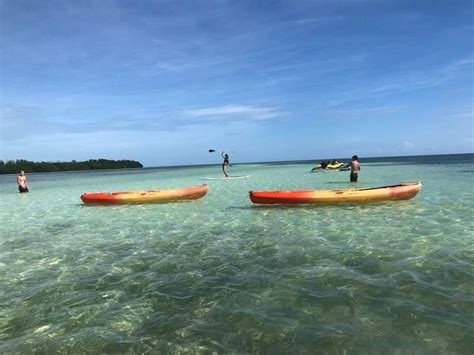 Key West snorkeling trips, SCUBA and diving info | FloridaKeys.com