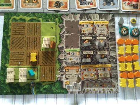 Caverna - Solo end game player board pics | BoardGameGeek