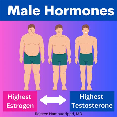 Natural Ways To Boost Your Testosterone Level 💪🏽 Supplements By Dr Rajsree