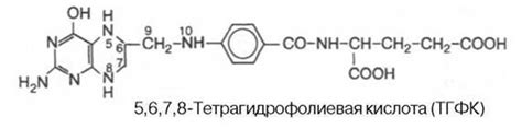Фолиевая кислота - Витамины, растворимые в воде - Витамины
