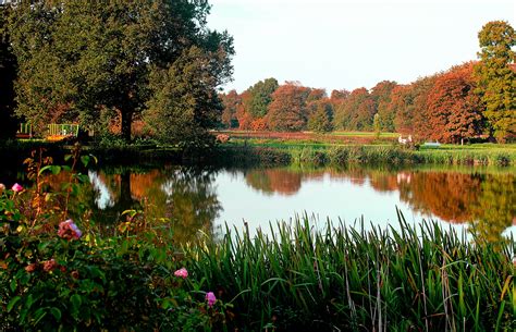 Free Images Landscape Tree Water Nature Grass Plant Meadow