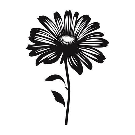 An Aster Flower Black Silhouette Vector Free Vector Art At