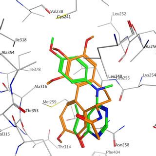 Superimposition Of The Docked Pose Of 3 Green In The Colchicine Site