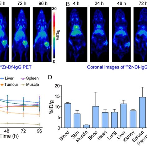 Zr Df Pertuzumab Pet Imaging Of Athymic Nude Mice Bearing