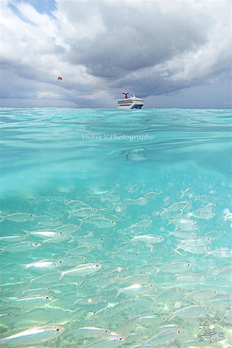 Half Moon Cay Bahamas Snorkeling Cruise Ship 8x12 Fine Art Photography ...