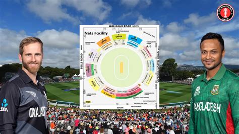 Nz Vs Ban Ground Dimensions And Pitch Report Icc World Cup Buzz