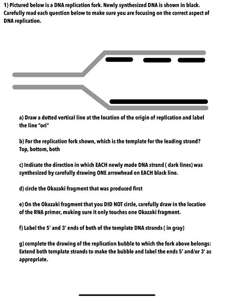 What Is Dna Replication Fork 9