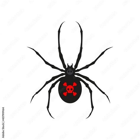 Poisonous spider black widow, spider silhouette latrodectus ...