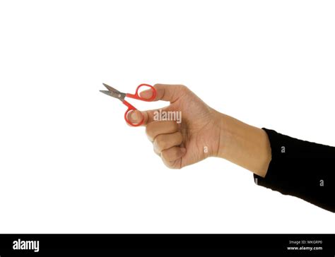 Hand Holding Scissor Isolated On A White Background Stock Photo Alamy