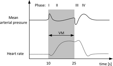 Examples Of Valsalva Maneuver