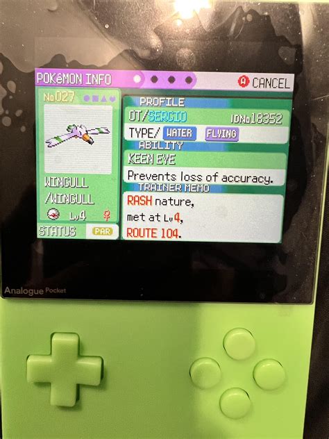 [Gen 3] shiny wingull : r/ShinyPokemon