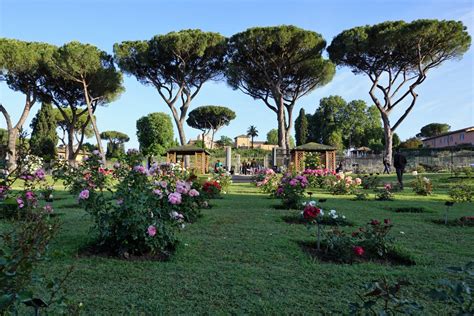 Il Roseto Comunale Di Roma Riapre Le Porte You Local Rome