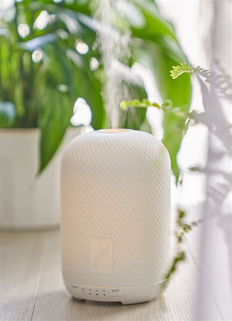 Which Type Of Diffuser Is Right For You Young Living Blog Us En