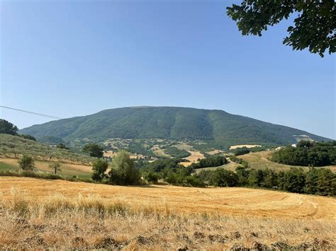 Parco Monte Subasio Oggi La Firma Della Convenzione Citt Di Assisi