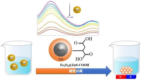 一种巯基丁二酸修饰的fe3o4zns核壳结构的磁性荧光纳米传感器、制备方法与应用