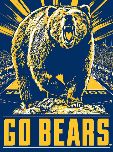 Cal Poster For TSS On Behance Cal Golden Bears Golden Bears