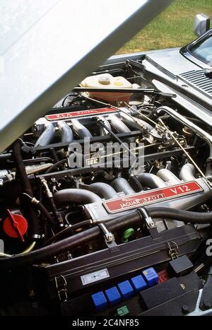 1992 Jaguar XJS R V12 Engine Stock Photo Alamy