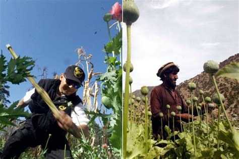 Mum S Hot Tub Warning After Son Was Sucked Into Filter And Left Unconscious Daily Star