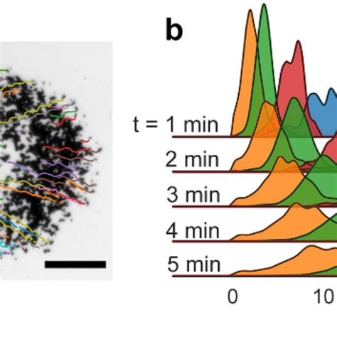 Spreading Of Wheel Swarms A Sample Trajectory Tracking In A