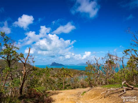 5 scenic Hamilton Island hikes: A quick guide