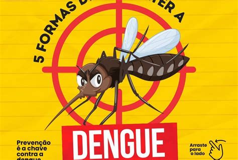 Confira Formas De Combater A Dengue Prefeitura De Vanini