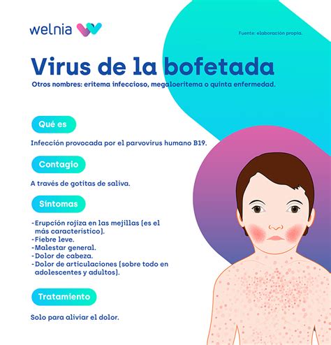 Qu Es El Virus De La Bofetada O Parvovirus Welnia