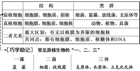 【三维设计】2016届高三生物一轮复习word版资料：必修1 第一单元 细胞及其分子组成word文档在线阅读与下载无忧文档