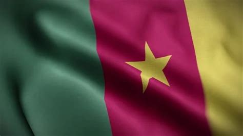 Cameroon Flag Textured Waving Close Up B Stock Video Pond