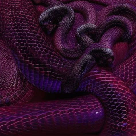 Snakes Ai Generated Artwork Nightcafe Creator