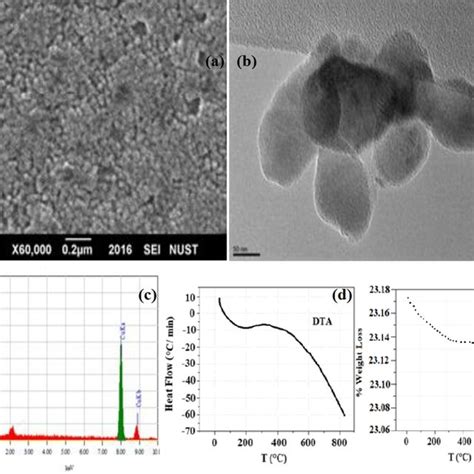 Characterization Of R Punjabensis Mediated Synthesized Cuo Nps A Sem