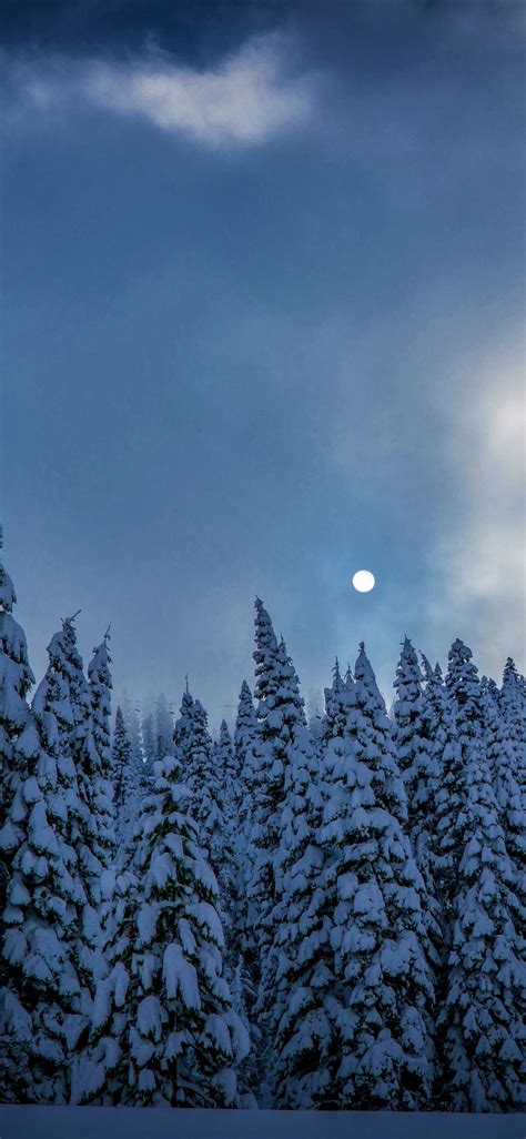 Winter Night Sky Wallpapers - Wallpaper Cave