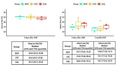 Area At Risk 3 Days After Ami And Infarct Size 3 Days And 2 Months