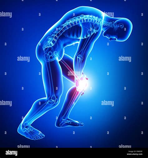 Human Knee Pain Anatomy Stock Photo Alamy