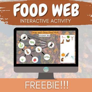 Food Web Interactive Digital Activity | FREE | Energy Flow and Food Chain