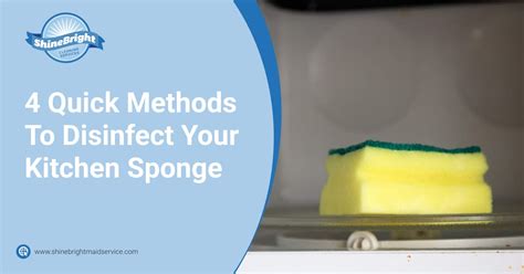 4 Quick Methods To Disinfect Your Kitchen Sponge Shine Bright Maid