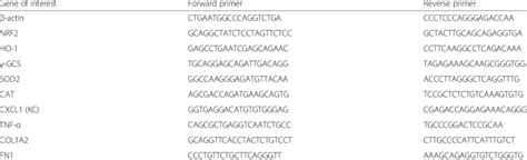 Mouse Rt Pcr Forward And Reverse Primer Sequences Download Scientific