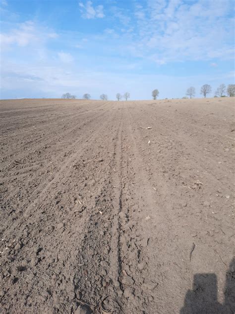 Zwalczanie Chwast W W Kukurydzy Sumi Agro Poland