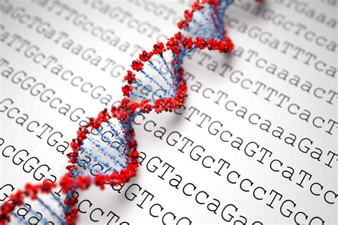 Genome Sequencing Know The Scientific Approach Of Dna Analysis Melixgx