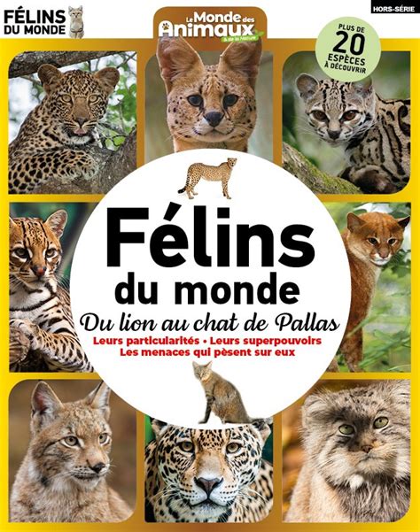 Félins du Monde MonMag