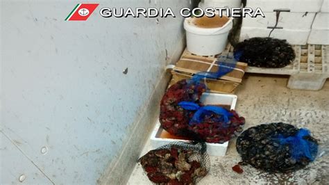 Pesce Senza Tracciabilit Sequestro Della Guardia Costiera